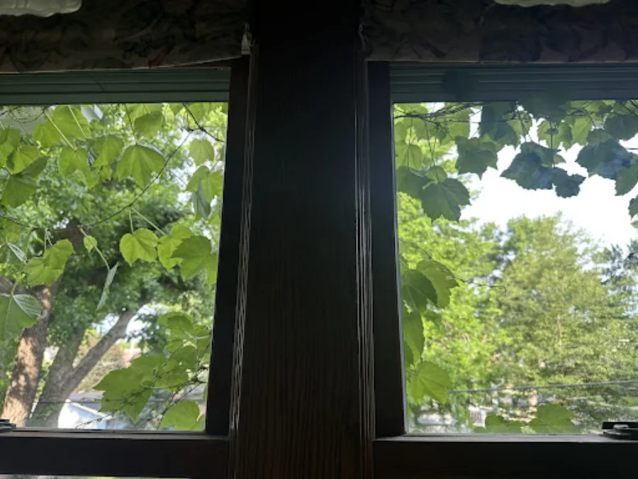 Photo from Melinda Richards's review
