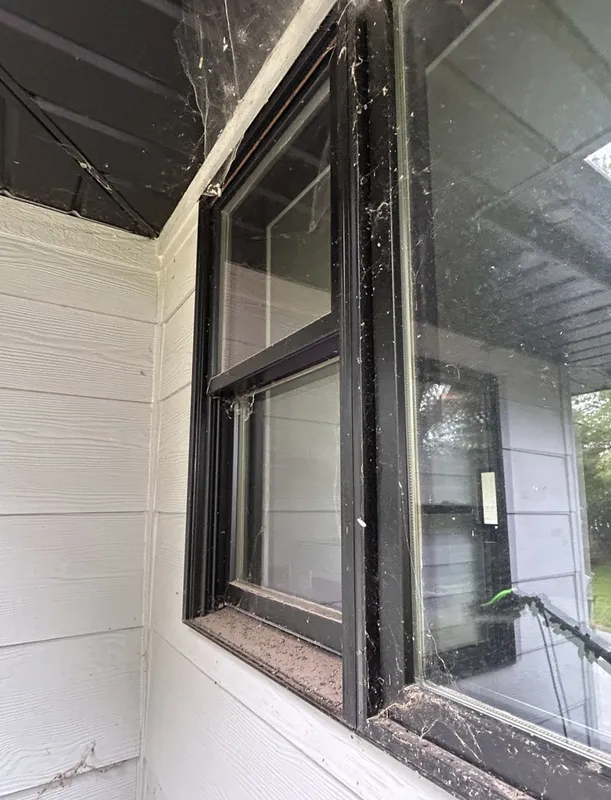 Before: Black-framed window with cobwebs and grime